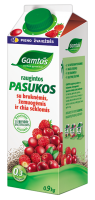 Raugintos pasukos